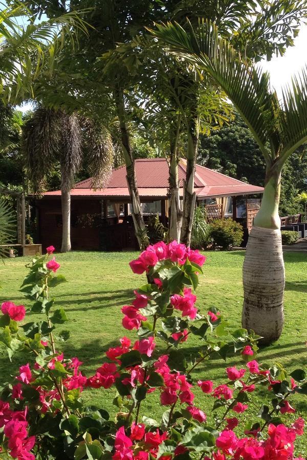 Le Bungalow Des Bougainvilliers Ducos Esterno foto